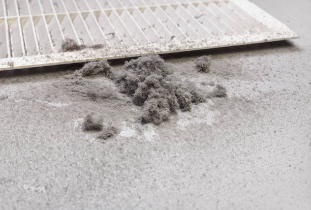 Best Local Air Duct Cleaning Services  in Albany, OR