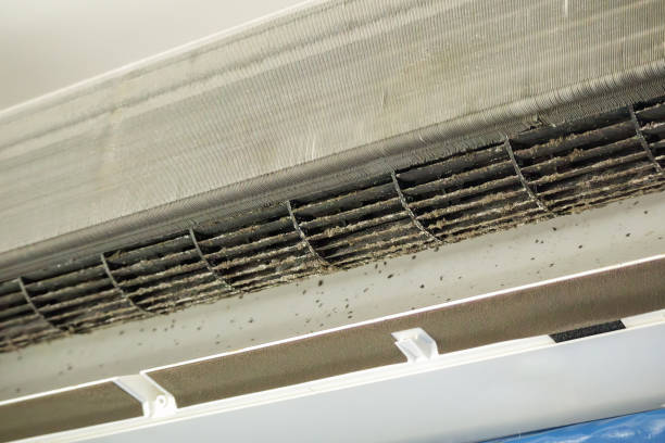 Best Commercial HVAC Duct Cleaning  in Albany, OR